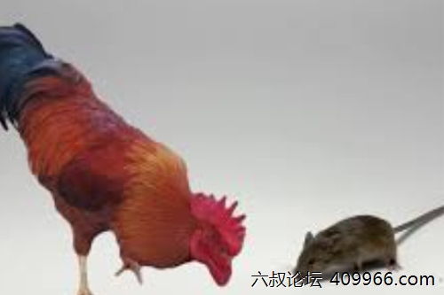 2025年第059期幽默猜测：奇妙交易