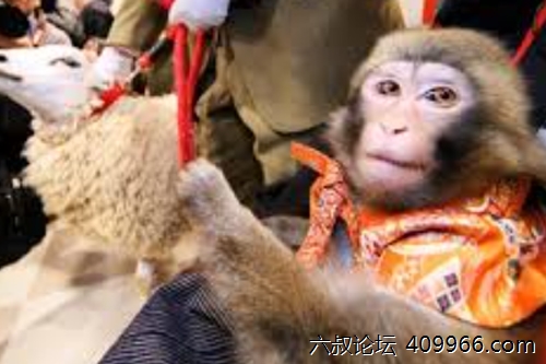 2025年第107期幽默猜测：埋怨