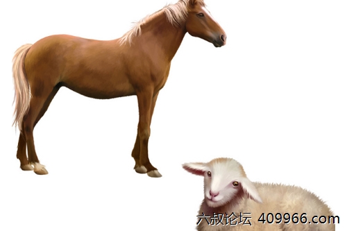 2025年第111期幽默猜测：马羊大作战